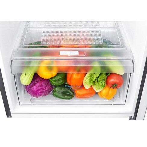 Heladera LG Frio Seco de 393lts LT39BPP