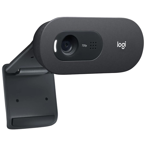 Camara Web Logitech C505 HD 720 con Micrófono 960-001367